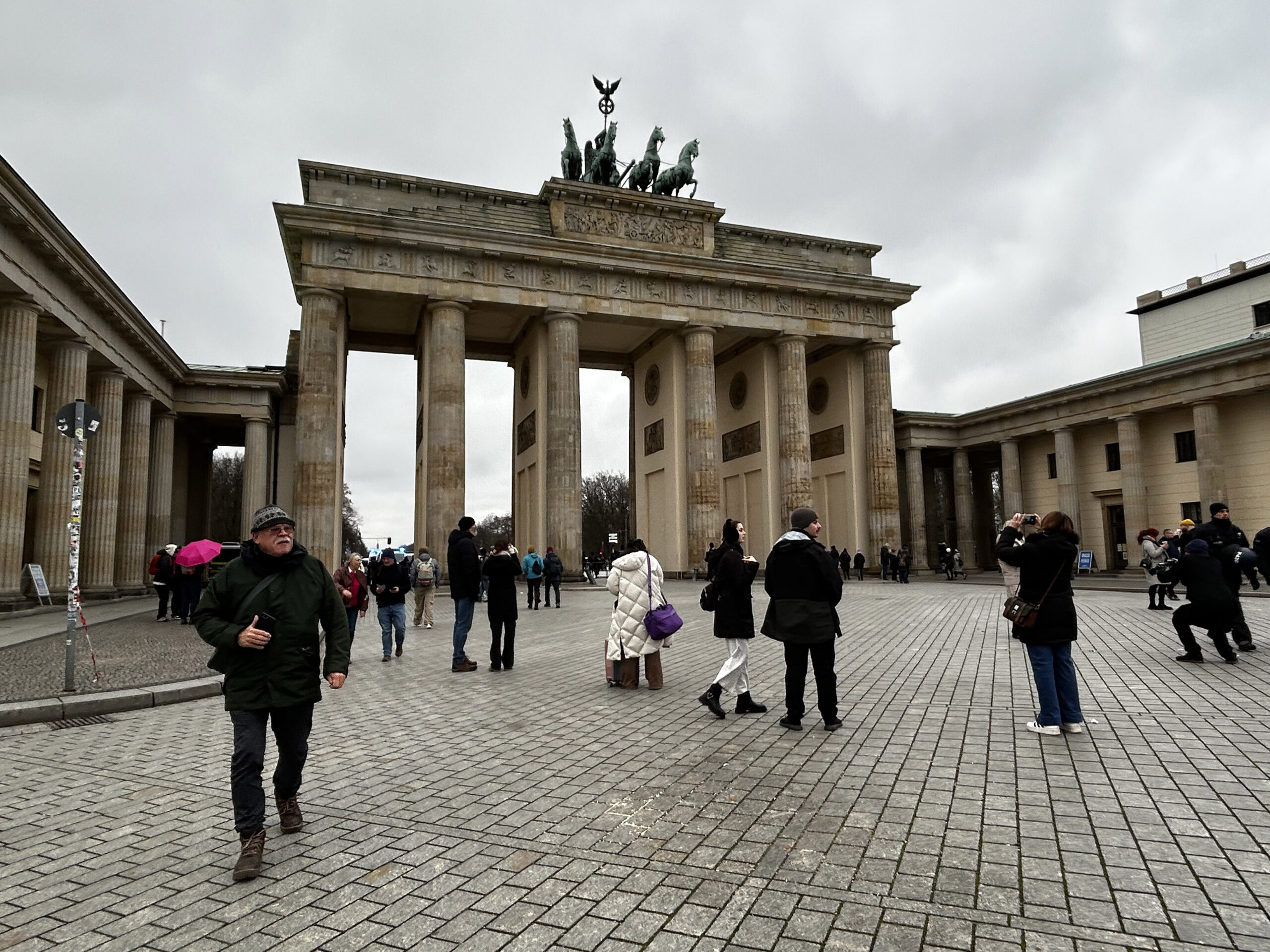December ’24 Highlights: Birding in Berlin
